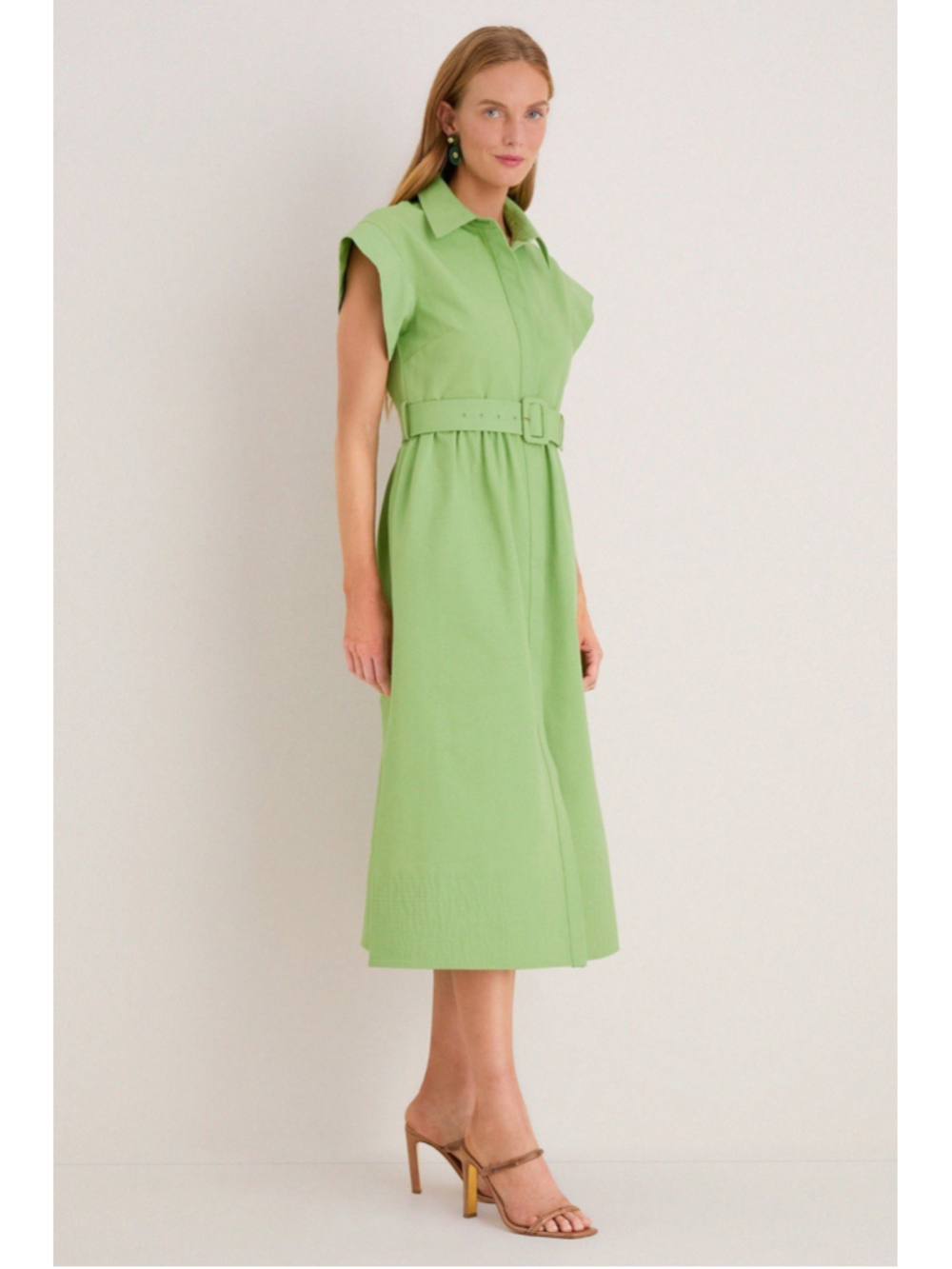 New Tuckernuck Pistachio Green Chloe Midi Dress 3XL Belted Collared Moir Classic - Picture 3 of 14